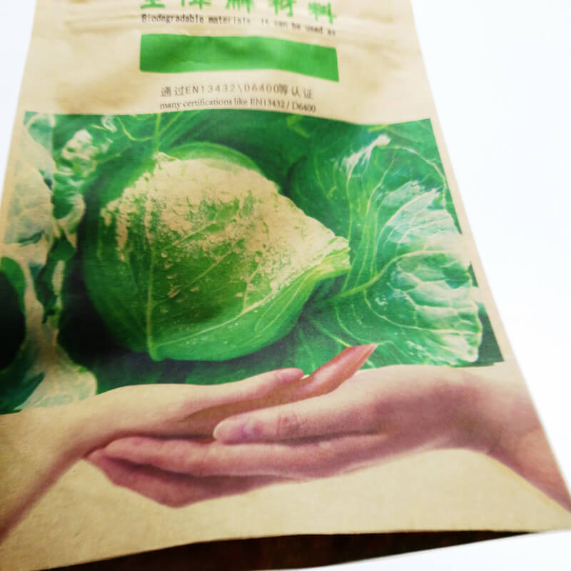 Biodegradable PLA stand up dried fruit pouch (1)