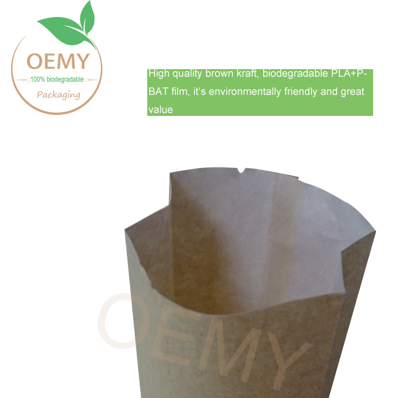 China supplier of back-seal gusset biodegradable packaging bags 2
